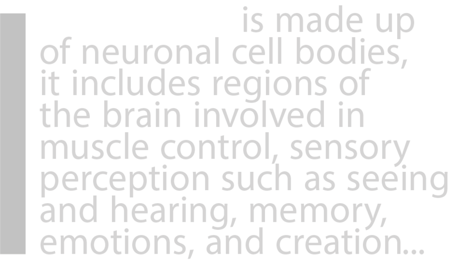 greymatter.com.hk